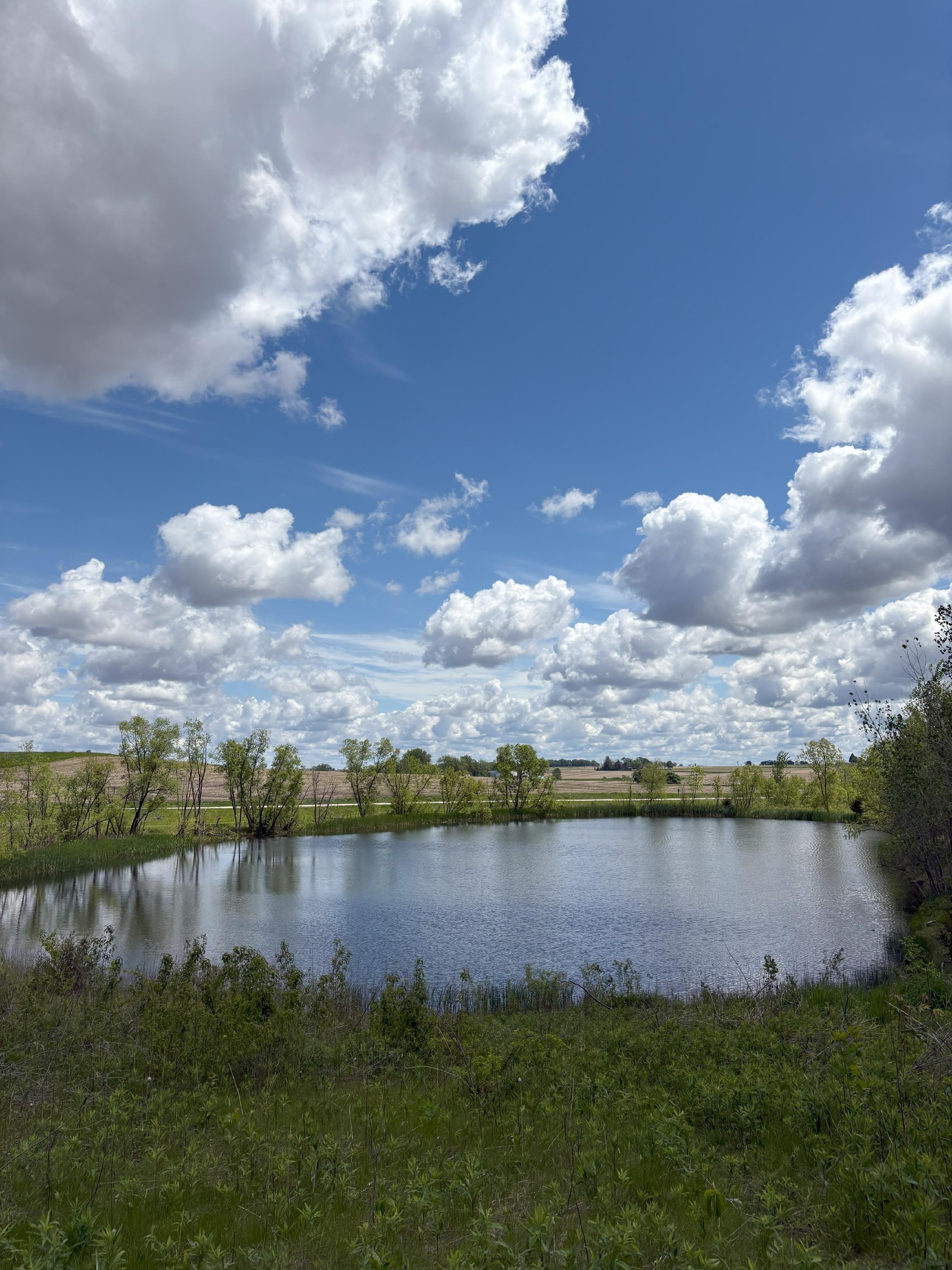 horton road pond 1